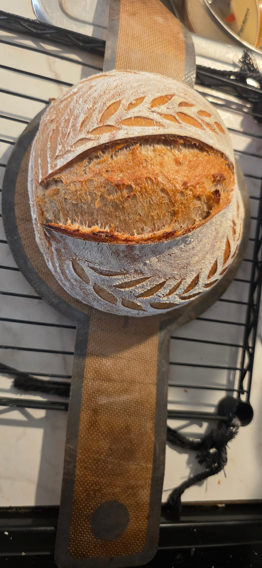 Organic Sourdough- original